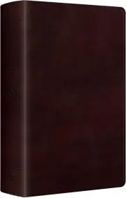 ESV Large Print Personal Size Bible