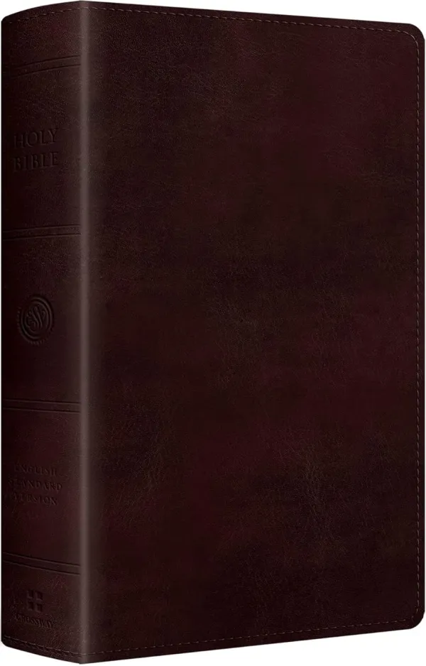 ESV Large Print Personal Size Bible