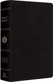 ESV Large Print Personal Size Bible, Red Letter