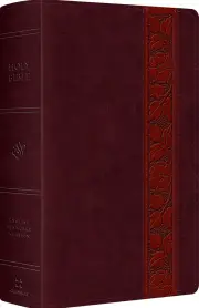 ESV Large Print Personal Size Bible, Red Letter