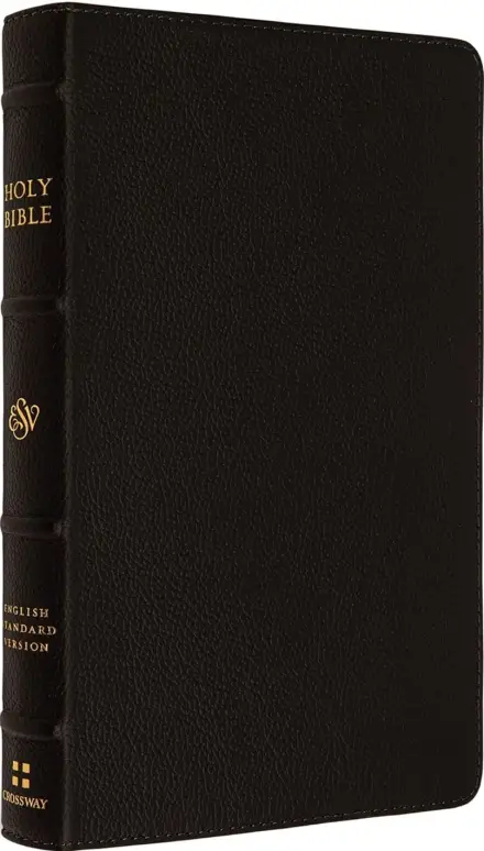 ESV Thinline Bible (Buffalo Leather, Deep Brown)