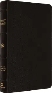 ESV Thinline Bible (Buffalo Leather, Deep Brown)