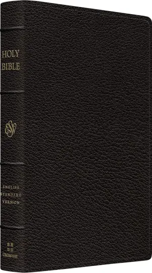 ESV Preaching Bible, Verse by Verse Edition (Goatskin, Black)