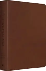 ESV Men's Study Bible