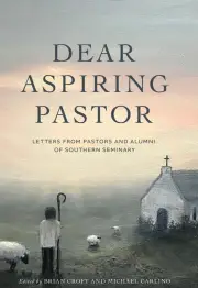 Dear Aspiring Pastor