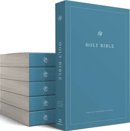 ESV Economy Bible (Case of 40)