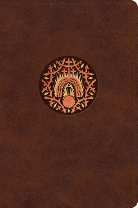 ESV The Biggest Story Holy Bible for Kids