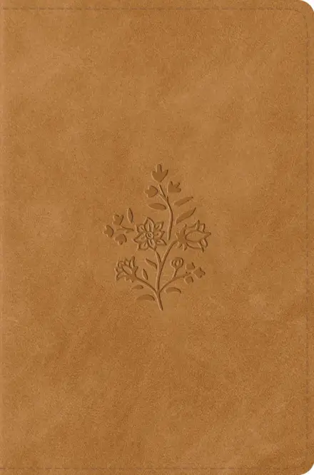 ESV Compact Bible