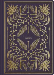 ESV Illuminated Scripture Journal: John