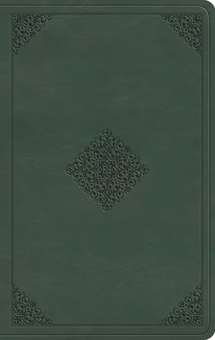ESV Large Print Value Thinline Bible (TruTone, Quiet Forest, Ornament)