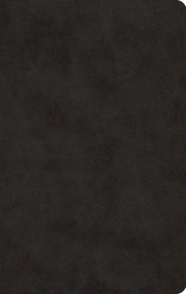 ESV Large Print Value Thinline Bible (TruTone, Black)