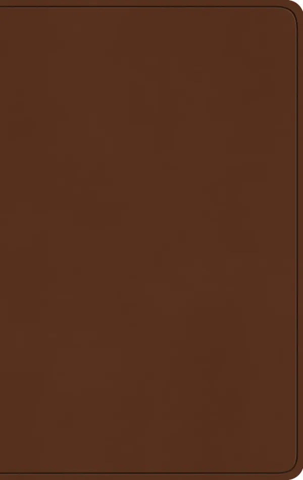 ESV Large Print Value Thinline Bible (TruTone, Camel)