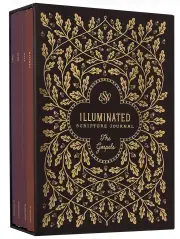 ESV Illuminated Scripture Journal: Gospels Set