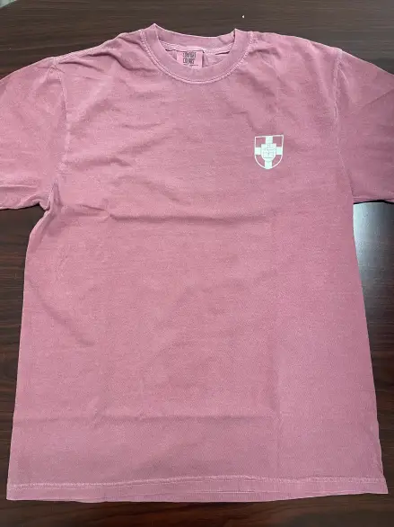 Southern Seminary, Holy Bible T-Shirt - Brick