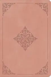 ESV Holy Bible: Dyslexia-Friendly Edition (TruTone, Blush Rose, Fleur-de-lis Design)