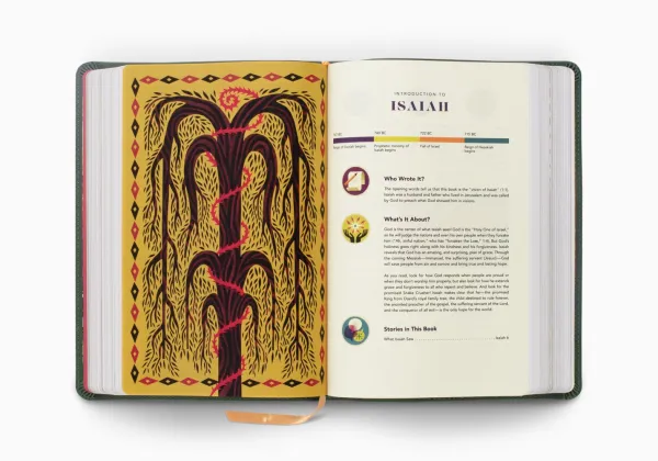 ESV The Biggest Story Holy Bible for Kids