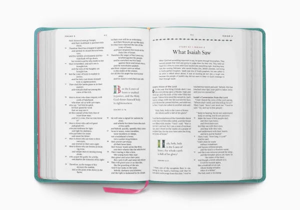 ESV The Biggest Story Holy Bible for Kids