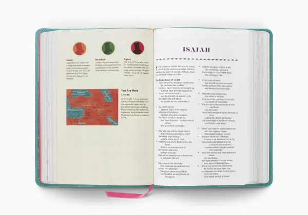 ESV The Biggest Story Holy Bible for Kids