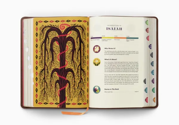 ESV The Biggest Story Holy Bible for Kids