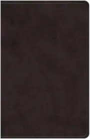 ESV Giant Print Value Personal Size Bible (TruTone, Black)