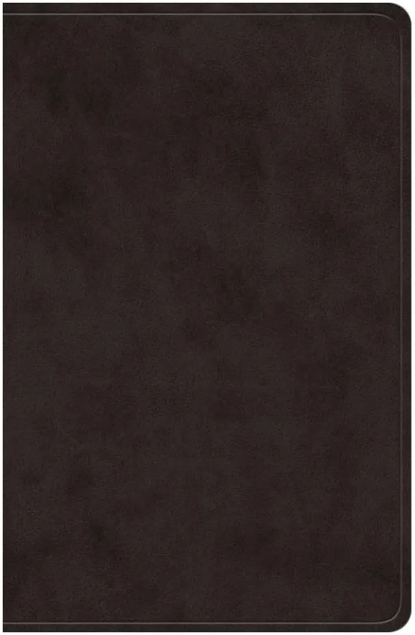 ESV Giant Print Value Personal Size Bible (TruTone, Black)