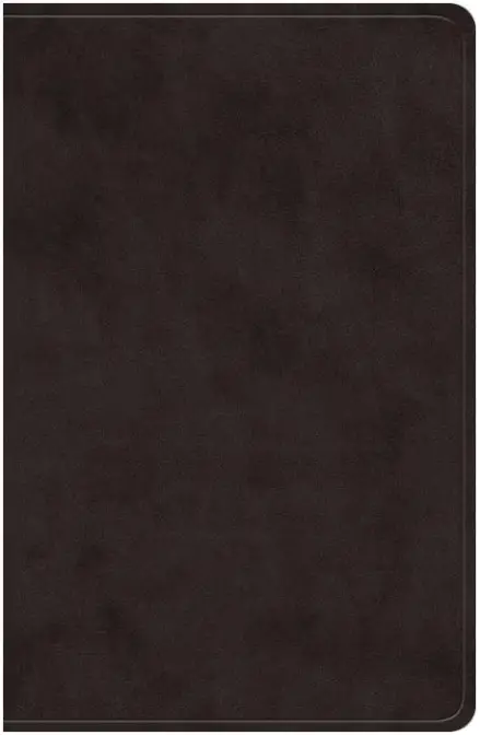 ESV Giant Print Value Personal Size Bible (TruTone, Black)