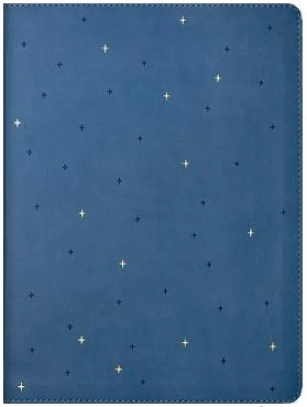 NLT Midnight Mom Devotional Bible
