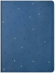 NLT Midnight Mom Devotional Bible