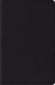 ESV Wide Margin Reference Bible