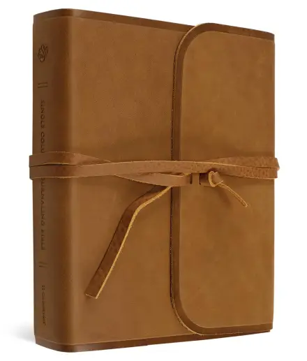 ESV Single Column Journaling Bible (Brown)