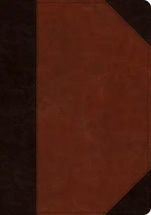 ESV Large Print Wide Margin Bible