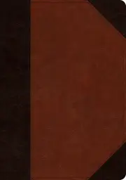 ESV Large Print Wide Margin Bible