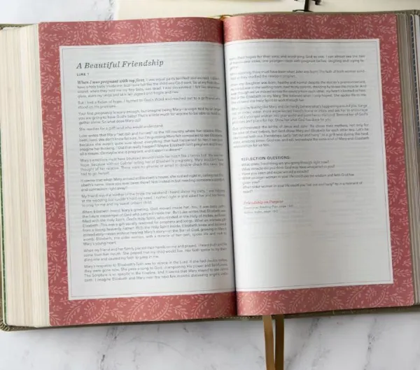 CSB (in)courage Devotional Bible, Sage LeatherTouch