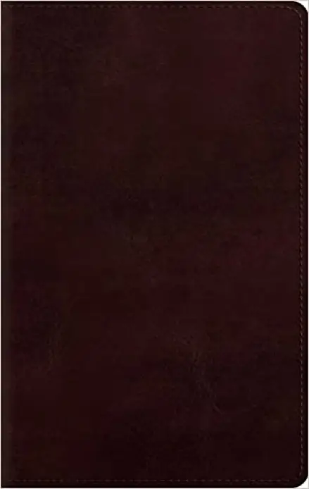 ESV Large Print Personal Size Bible