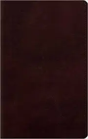 ESV Large Print Personal Size