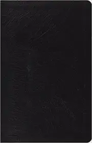 ESV Large Print Thinline Reference Bible (Genuine Leather, Black)