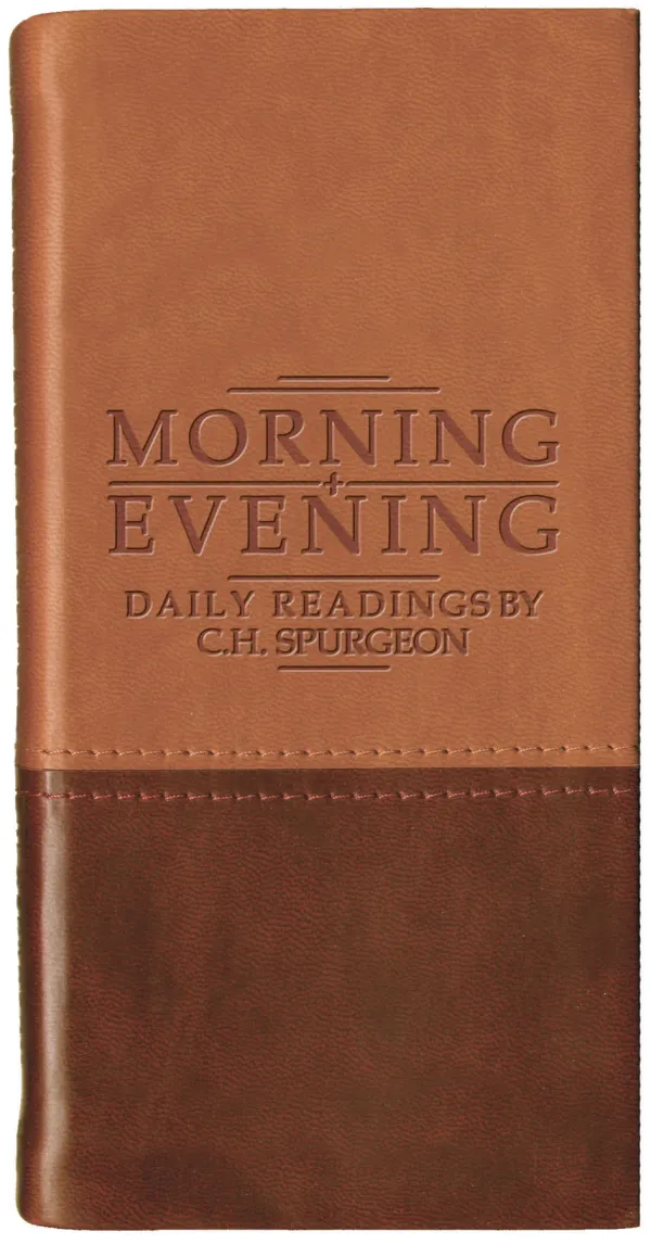 Morning & Evening - Matt Tan/Burgundy