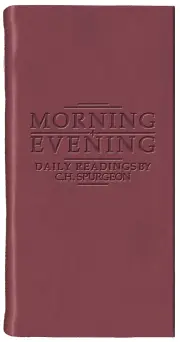 Morning & Evening - Matt Burgundy