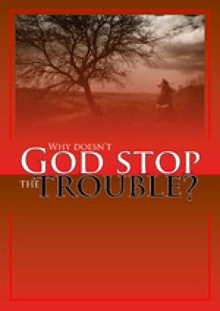 Why Doesn't God Stop The Trouble?