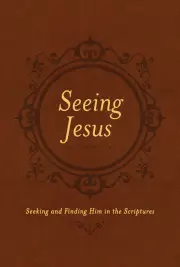 Seeing Jesus