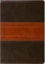 ESV Study Bible