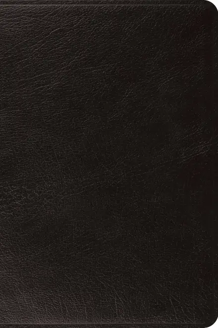 ESV Large Print Bible (Top Grain Leather, Black)
