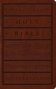 ESV Large Print Personal Size Bible