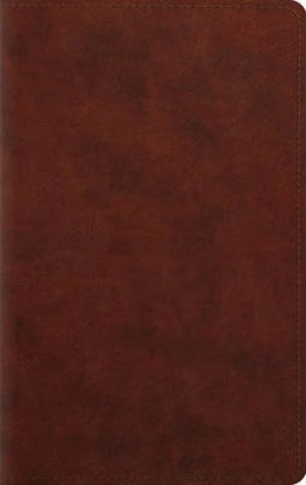 ESV Large Print Personal Size Bible (TruTone Chestnut)