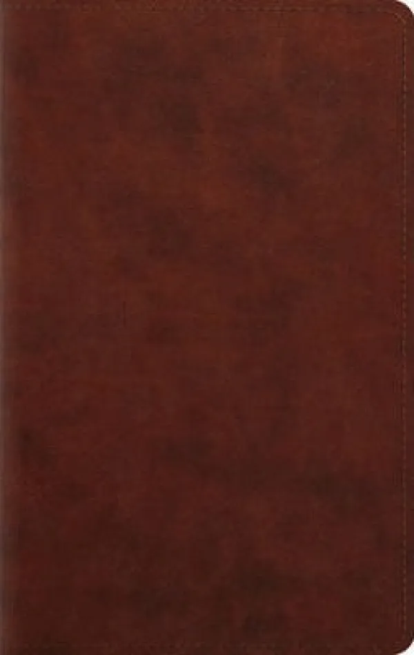 ESV Large Print Personal Size Bible