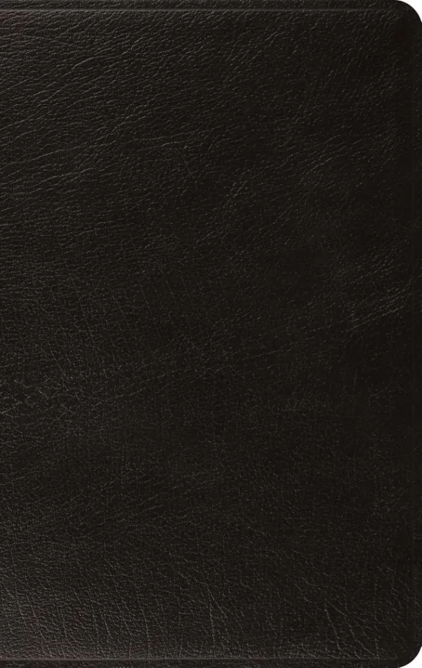 ESV Large Print Thinline Bible (Genuine Leather, Black)