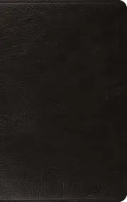 ESV Large Print Thinline Bible (Genuine Leather, Black)
