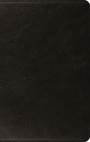 ESV Large Print Thinline Bible (Genuine Leather, Black)