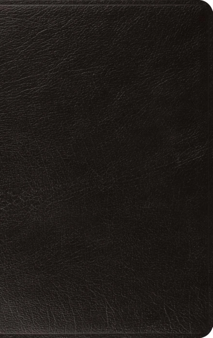 ESV Large Print Thinline Bible Genuine Leather Black