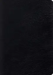 ESV Study Bible, Large Print Genuine Leather Black